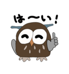 フクロウのメッセージ（個別スタンプ：24）
