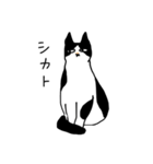 ありのままの猫（個別スタンプ：2）