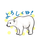 熊とクマっぽい動物たち（個別スタンプ：5）