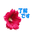 花スタ挨拶（個別スタンプ：3）