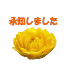 花スタ挨拶（個別スタンプ：12）