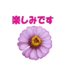 花スタ挨拶（個別スタンプ：14）