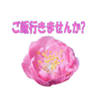 花スタ挨拶（個別スタンプ：17）