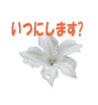 花スタ挨拶（個別スタンプ：18）