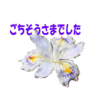 花スタ挨拶（個別スタンプ：20）
