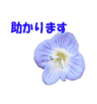 花スタ挨拶（個別スタンプ：21）