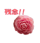 花スタ挨拶（個別スタンプ：24）