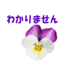 花スタ挨拶（個別スタンプ：25）