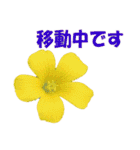 花スタ挨拶（個別スタンプ：26）