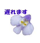 花スタ挨拶（個別スタンプ：27）