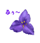 花スタ挨拶（個別スタンプ：34）