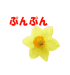 花スタ挨拶（個別スタンプ：39）