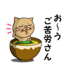 蔑んだ目の猫［あいさつへん］（個別スタンプ：9）