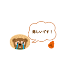 よく使う敬語・たぬき（個別スタンプ：24）