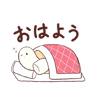 かめぱんず（個別スタンプ：1）