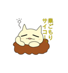 巣籠もりねこ（個別スタンプ：4）