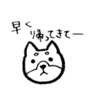柴犬しばこ（個別スタンプ：6）