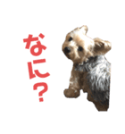 うると♡1（個別スタンプ：2）