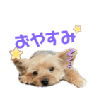 うると♡1（個別スタンプ：8）