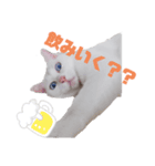 猫スタンプ(ホワとクロ)（個別スタンプ：4）