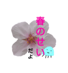 春のくらげ（個別スタンプ：7）