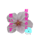 春のくらげ（個別スタンプ：12）