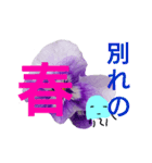 春のくらげ（個別スタンプ：21）