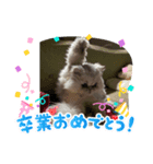 不機嫌そらちゃん其の4（個別スタンプ：1）
