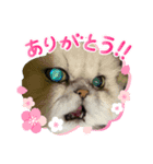 不機嫌そらちゃん其の4（個別スタンプ：3）