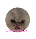 不機嫌そらちゃん其の4（個別スタンプ：5）