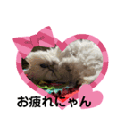 不機嫌そらちゃん其の4（個別スタンプ：6）