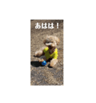 ポノちゃんスタンプその5（個別スタンプ：3）