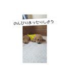 ポノちゃんスタンプその5（個別スタンプ：6）