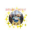 ポノちゃんスタンプその5（個別スタンプ：8）