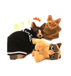 すふぃんくすたんぷpart1（個別スタンプ：2）