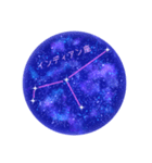 星座工房⭐︎南天の星座たち（個別スタンプ：1）