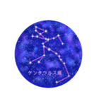 星座工房⭐︎南天の星座たち（個別スタンプ：5）