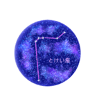 星座工房⭐︎南天の星座たち（個別スタンプ：9）