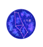星座工房⭐︎南天の星座たち（個別スタンプ：10）