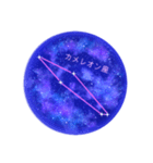 星座工房⭐︎南天の星座たち（個別スタンプ：17）