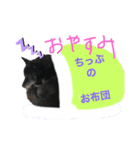 小田ちっぷ（個別スタンプ：8）