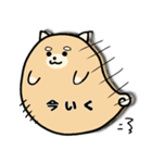 おばいぬ（個別スタンプ：24）