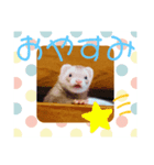 oyama family ☺︎（個別スタンプ：8）