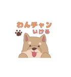 日常で使えるうさぎさん（個別スタンプ：21）