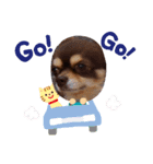 ちょこみるく2（個別スタンプ：5）