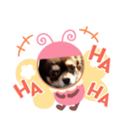 ちょこみるく2（個別スタンプ：6）