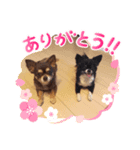 ちょこみるく2（個別スタンプ：7）