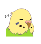 セキセイインコスタンプ8（個別スタンプ：2）