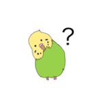セキセイインコスタンプ8（個別スタンプ：3）