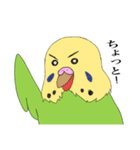 セキセイインコスタンプ8（個別スタンプ：6）